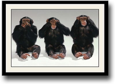 

3 Chimpanzee Fine Art Print(10 inch X 14 inch, Framed)