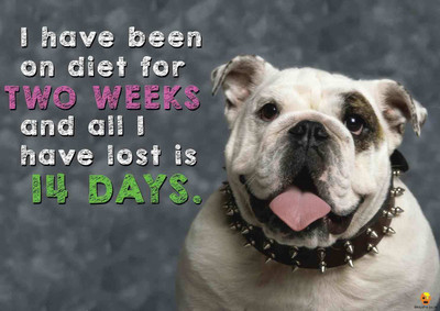 

Bheja Fry Poster Diet 14 days (29.7 cm x 42 cm) Paper Print(11.69 inch X 16.53 inch, Rolled)