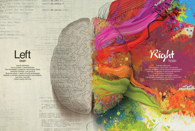 

Posterhouzz Left Vs. Right Brain - Creative Vs. Analytical - Poster Paper Print(12 inch X 18 inch, Rolled)