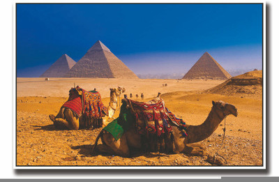 

Posterhouzz Camels in Egypt Fine Art Print(12 inch X 18 inch, Rolled)