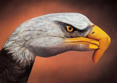 25% OFF on Elite Collection Painting without Frame Canvas Art Animal Hand Painting6 Canvas Art(18 inch X 22 inch)