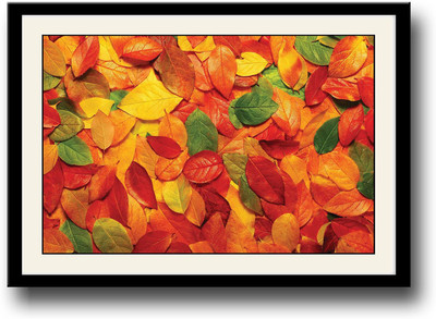 

Coloured leaves Fine Art Print(10 inch X 14 inch, Framed)