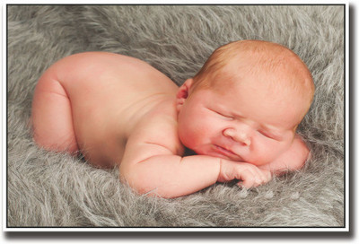 

Baby on grey fur Fine Art Print(12 inch X 18 inch, Rolled)