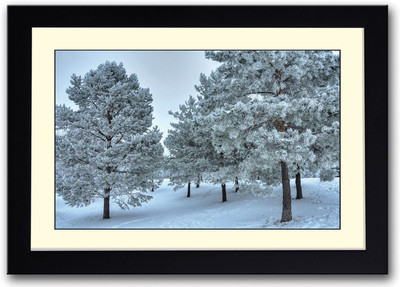 

Snow covered trees Fine Art Print(14 inch X 20 inch, Framed)