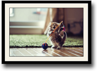 

Cute cat playing with a toy Fine Art Print(10 inch X 14 inch, Framed)