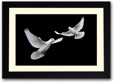 

Two White Peace Doves Fine Art Print(14 inch X 20 inch, Framed)