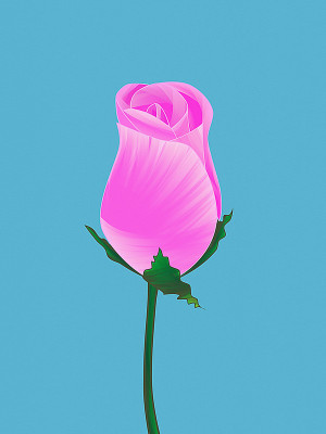 50% OFF on Rose Bud Paper Print(40 inch X 30 inch)