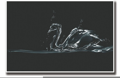 

Posterhouzz Water Duck Fine Art Print(12 inch X 18 inch, Rolled)