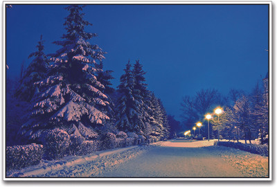 

Snow Covered Road and Trees Paper Print(12 inch X 18 inch)