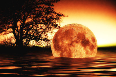 

Apocalypse - Moon in Water Paper Print(12 inch X 18 inch)