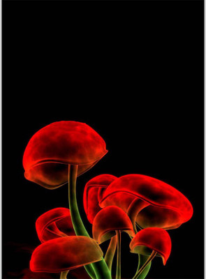 

Posterhouzz Spiritual Mushroom Paper Print(18 inch X 12 inch, Rolled)