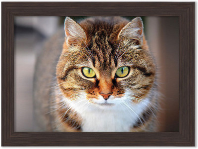 

Talking Cats Nature Themed Framed Poster Photographic Paper(13.5 inch X 10 inch, Box Packing)