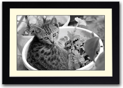 

Small Cat in Flower Pot Fine Art Print(14 inch X 20 inch, Framed)