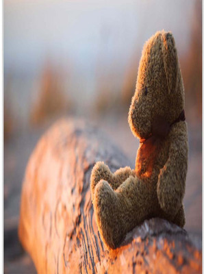 

Posterhouzz Sad Teddy Paper Print(18 inch X 12 inch, Rolled)