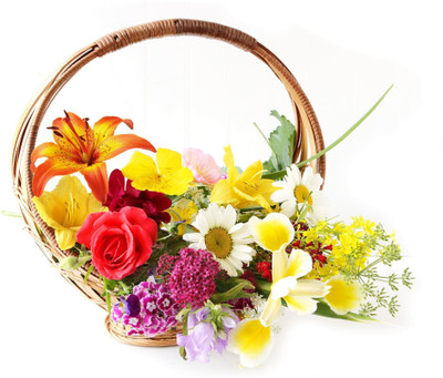 

Posterhouzz Flower Fine Art Print Poster Fine Art Print(12 inch X 18 inch, Rolled)