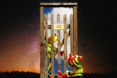 

frog mourning poster Fine Art Print(12 inch X 18 inch, Rolled)