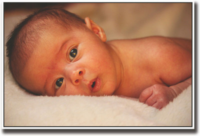 

Cute baby looking Fine Art Print(12 inch X 18 inch, Rolled)
