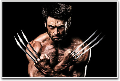 

Wolverine Photographic Paper(12 inch X 18 inch)