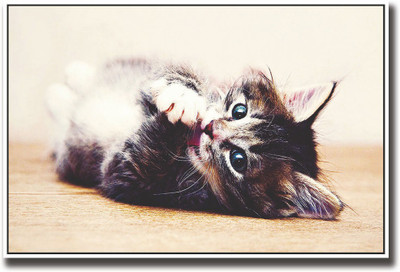 

Baby cat Fine Art Print(12 inch X 18 inch, Rolled)