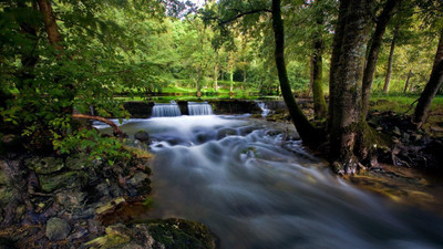 

Posterhouzz Nature Fine Art Print Poster Fine Art Print(12 inch X 18 inch, Rolled)