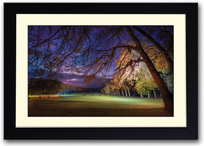 

Green park View Fine Art Print(14 inch X 20 inch, Framed)
