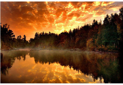 

Poster. Nature poster Collection of beautiful nature landscapes, waterfalls, forests, trees, hills, fish, dolphins, cats, dogs, cute puppy, sunset, sunrise, animals, wildlife images wall posters for room in home and office. Paper Print(18 inch X 12 inch, 