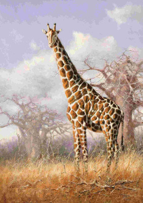 

Posterhouzz Animal Fine Art Print Poster Fine Art Print(18 inch X 12 inch, Rolled)