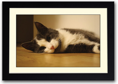 

Cute Cat Lying On Floor Fine Art Print(14 inch X 20 inch, Framed)