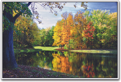 

Colorful Trees Paper Print(12 inch X 18 inch)