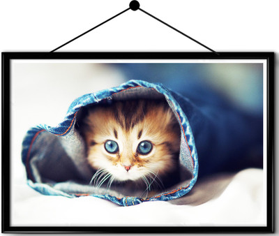 

Cute Kitten framed posters Paper Print(16.5 inch X 13.7 inch, Framed)