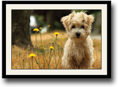 

Cute dog with yellow flowers Fine Art Print(10 inch X 14 inch, Framed)
