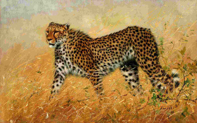 

Posterhouzz Animal Fine Art Print Poster Fine Art Print(12 inch X 18 inch, Rolled)