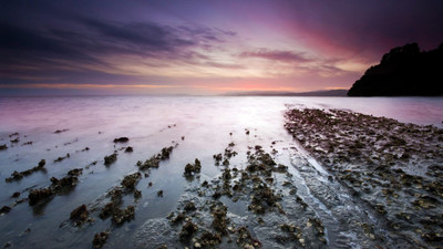 

Posterhouzz Nature Fine Art Print Poster Fine Art Print(12 inch X 18 inch, Rolled)