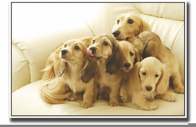 Posterhouzz Dog family on couch Fine Art Print(12 inch X 18 inch, Rolled)