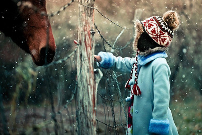 

Posterhouzz Cute Baby Playing with Horse and Snow Photographic Paper(12 inch X 18 inch, Rolled)