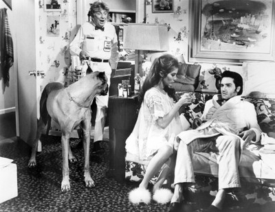 12% OFF on Elvis Presley Fine Art Print(30.886666666666667 inch X 40 inch)