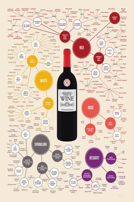 

BikriKendra Different Types of Wine Poster Paper Print(18 inch X 12 inch, Rolled)