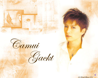 

Music Gackt Singers Japan HD Wallpaper Background Fine Art Print(12 inch X 18 inch, Rolled)