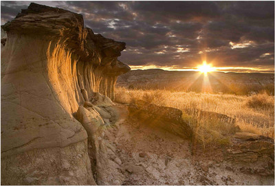 

Nature Paper Print(19 inch X 13 inch, Rolled)