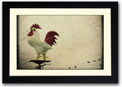 

Vintage White Rooster Photography Fine Art Print(14 inch X 20 inch, Framed)