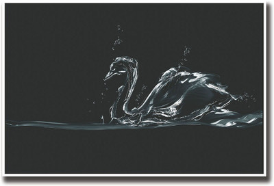 

Water Duck Fine Art Print(12 inch X 18 inch, Rolled)
