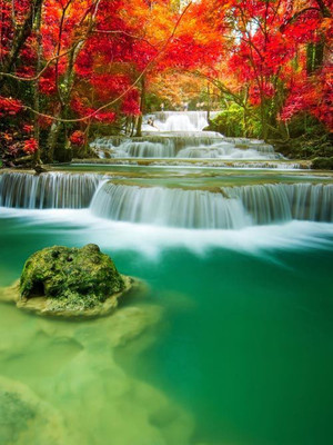 

Nature Fine Art Print(28 inch X 21 inch, Rolled)