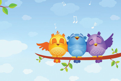 

three Cute birt Paper Print(12 inch X 18 inch, Rolled)