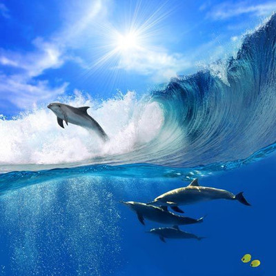 Nature Fine Art Print(24 inch X 24 inch, Rolled)