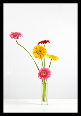 50% OFF on Gerbera in Paper Print(63 inch X 44 inch)