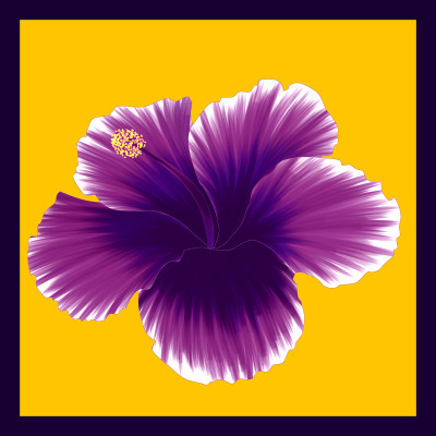 50% OFF on Painted Hibiscus Paper Print(30 inch X 30 inch)