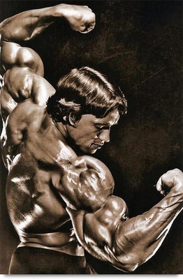 

Amazing Young Arnold Paper Print(18 inch X 12 inch, Stacked)