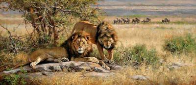 25% OFF on Elite Collection Frameless Painting Animal-0004 Canvas Art(16 inch X 36 inch)