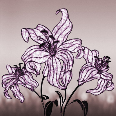 50% OFF on Floral designs 04 Paper Print(40 inch X 40 inch)