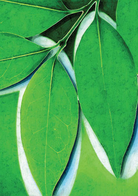 47% OFF on Leaves Paper Print(28 inch X 20 inch, Rolled)